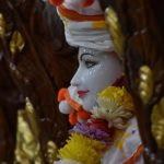 Swaminarayan Vadtal Gadi, DSC_8641.jpg