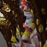 Swaminarayan Vadtal Gadi, DSC_8642.jpg