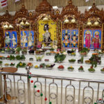 Swaminarayan Vadtal Gadi, Tulsi-Vivah-Mahotsav-Newjersey-50.jpg