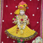 Swaminarayan Vadtal Gadi, New-Jersey-3rd-Patotsav-Van-Vicharan-Katha-day-6-6-1.jpg
